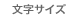 文字サイズ