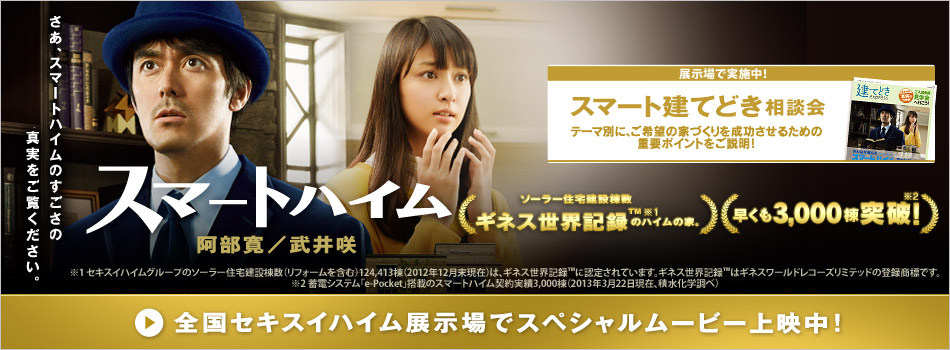 スマートハイム - ソーラー住宅建設棟数ギネス世界記録のハイムの家
