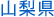 山梨県