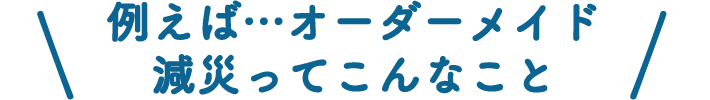 例えばオーダーメード減災ってこんなこと
