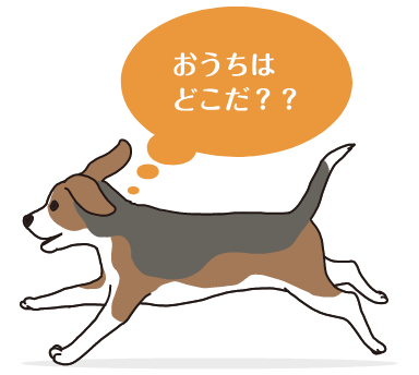 おうちはどこだ 