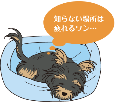 知らない場所は疲れるワン
