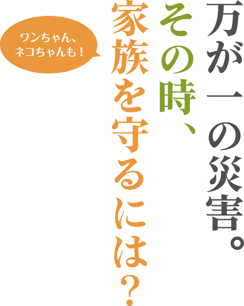 万が一の災害。その時、家族を守るには