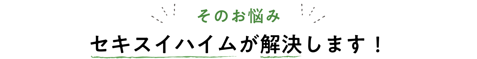 そのお悩みセキスイハイムが解決します！