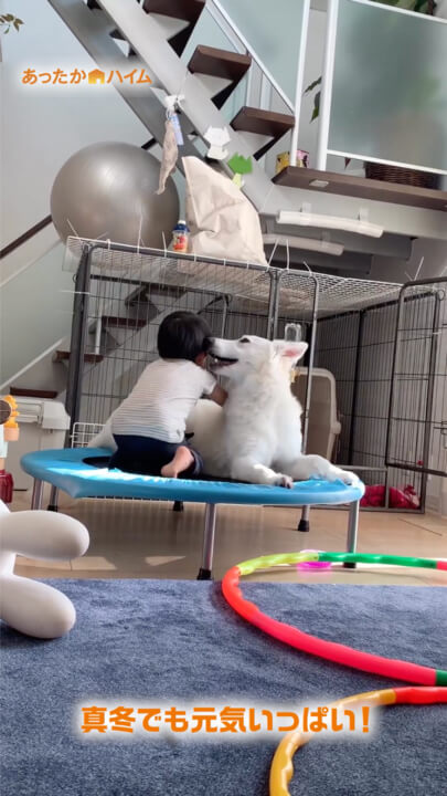 わんぱく編