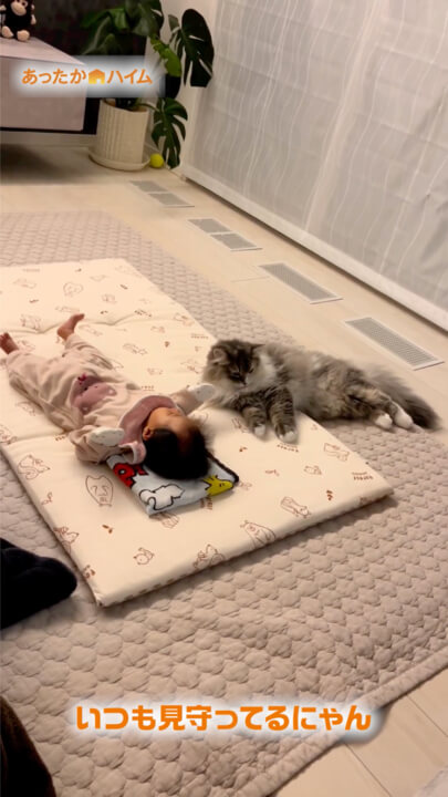 なかよし編