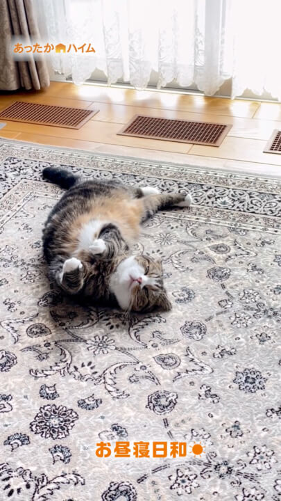 おねむ編