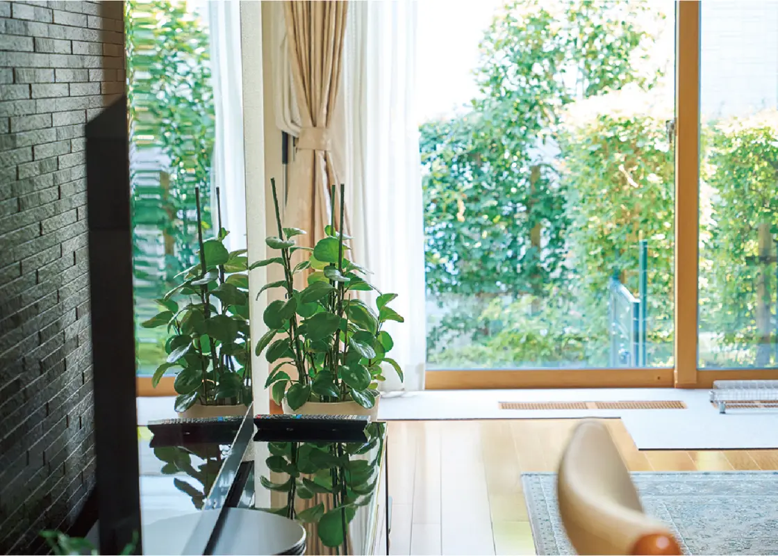 庭の緑が見えるリビング