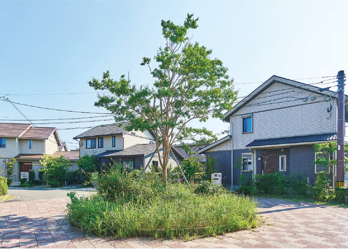 まちのシンボルとなるサルスベリ