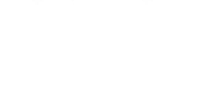 プレミアム ハイムメゾン エフスリー