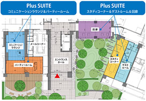 「Plus SUITE（プラススイート）」について