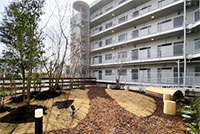 共用部広場