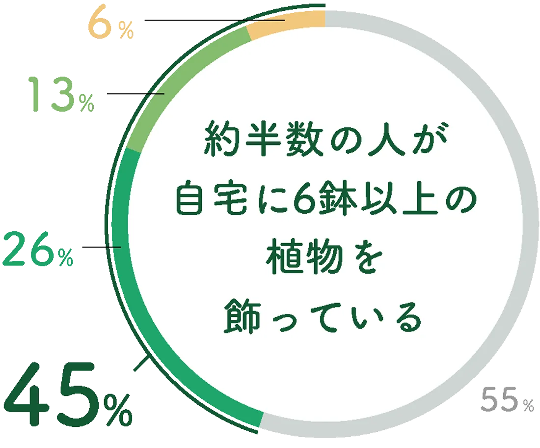 約半数の人が自宅に6鉢以上の植物を飾っている
