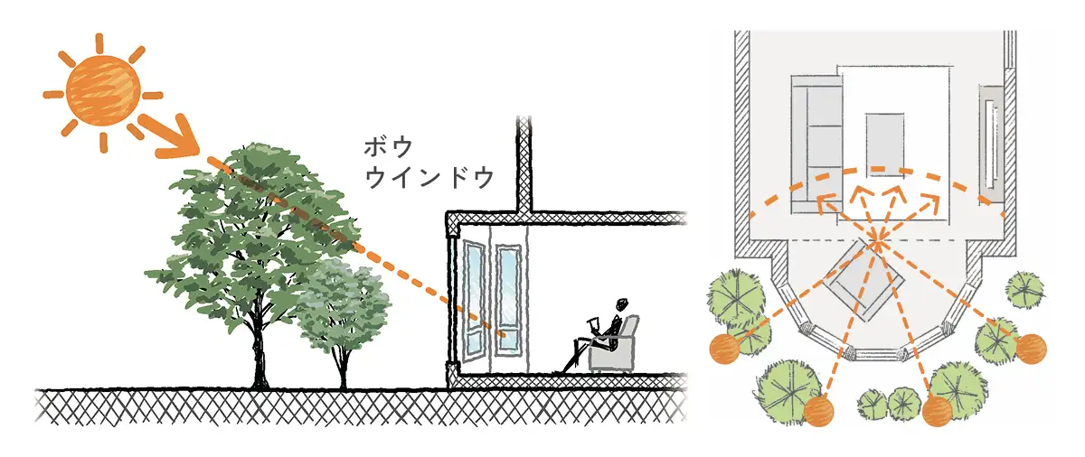 茂った木の葉が太陽の陽をほどよく遮り、ボウウインドウから室内へこもれびを取り込む様子がわかる図