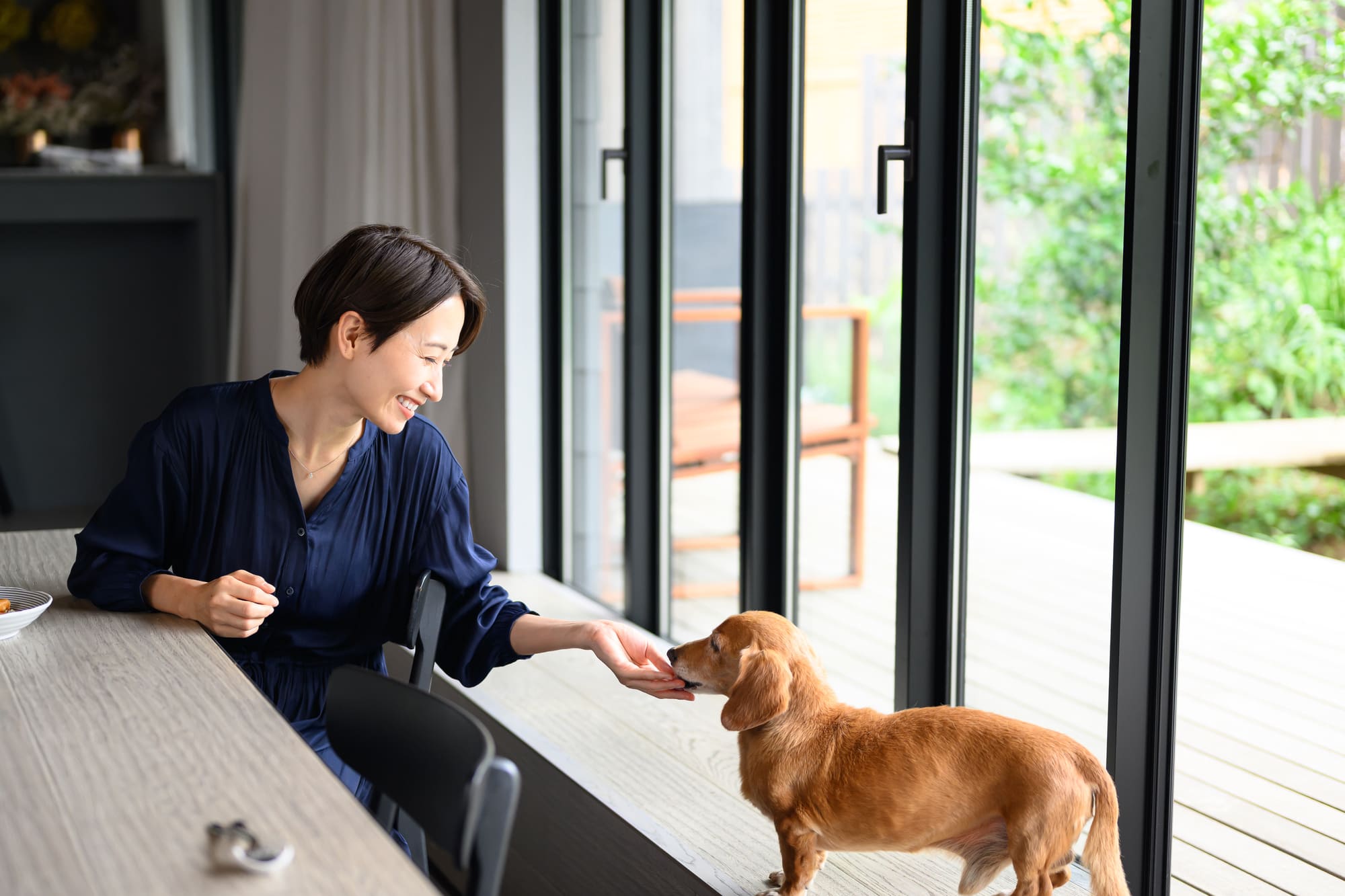 大きな窓のダイニングで女性が犬に餌を与える様子