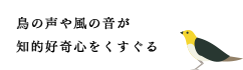 鳥の声や風の音が知的好奇心をくすぐる