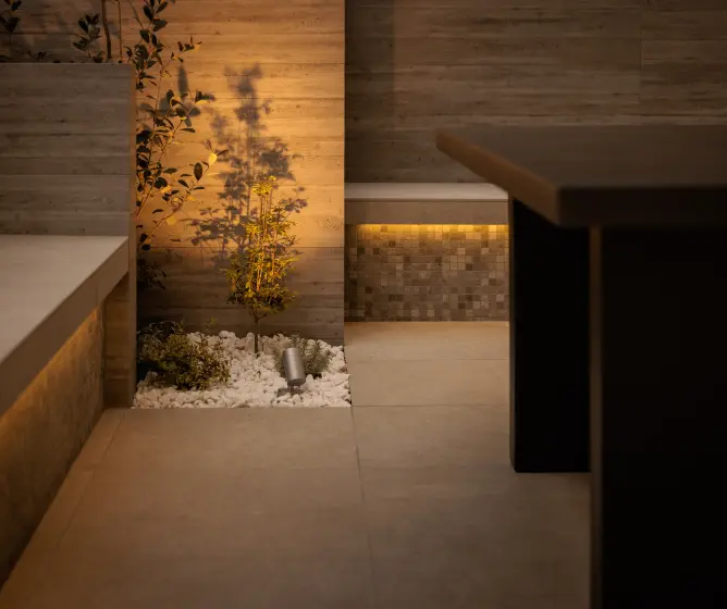 植栽がライトアップされた夜のテラス