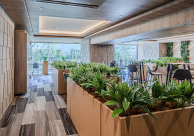 SUITE BASE　スイートベース／SUITE CUBE　スイートキューブ