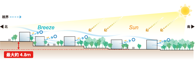 南ひな壇・高低差概念図