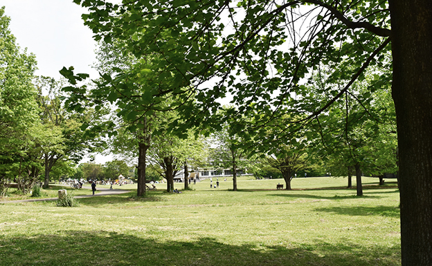 和光樹林公園