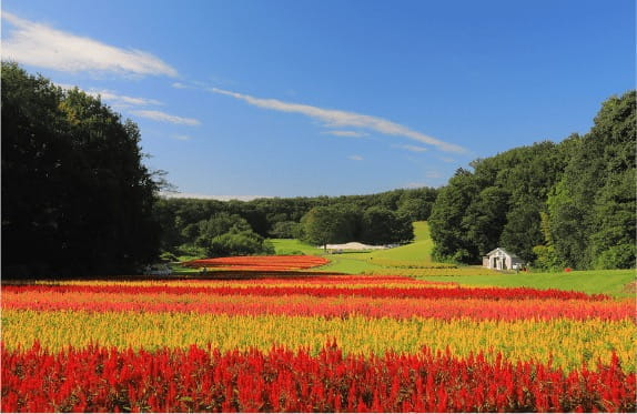 国営武蔵丘陵森林公園