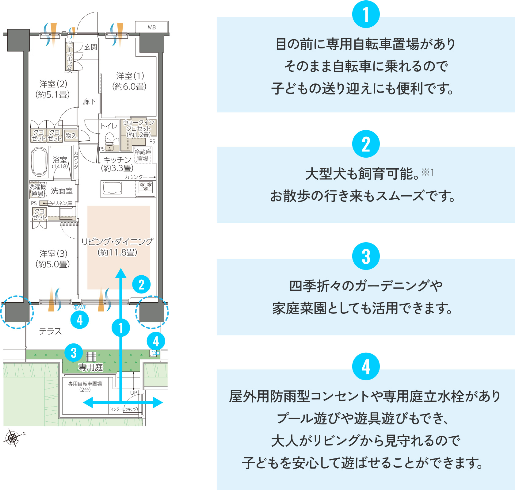 B11gtype①