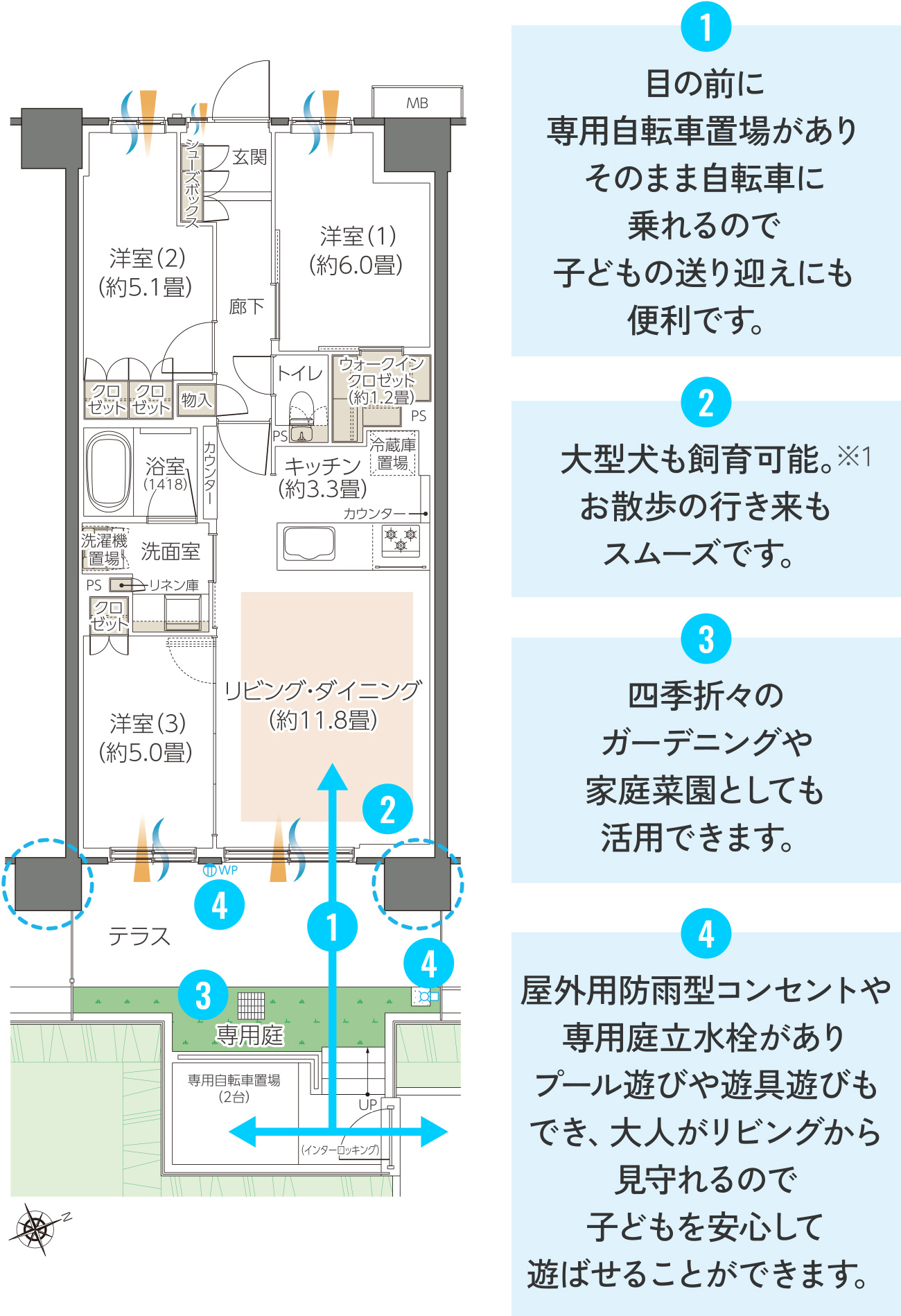B11gtype②