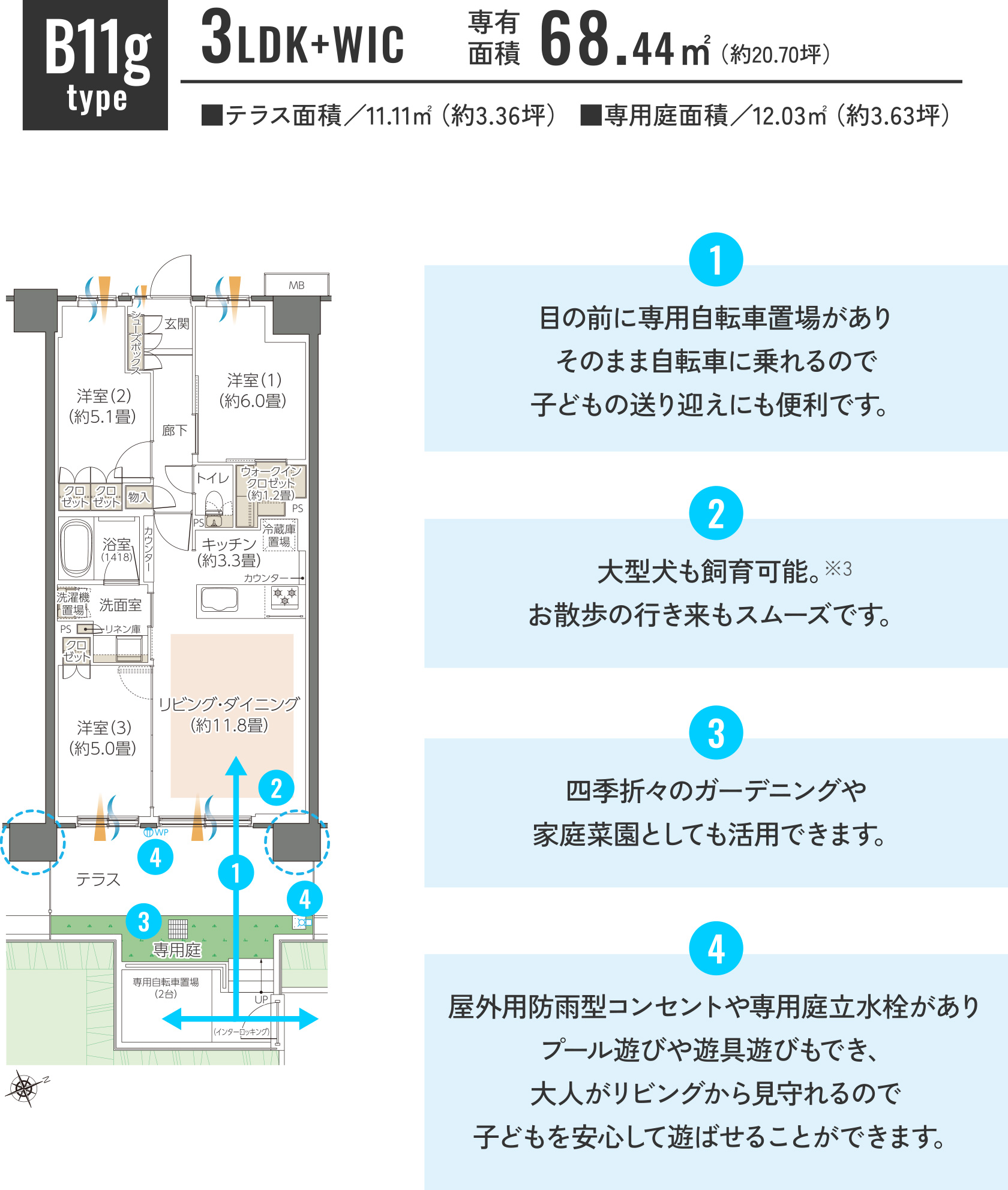 B11gtype①