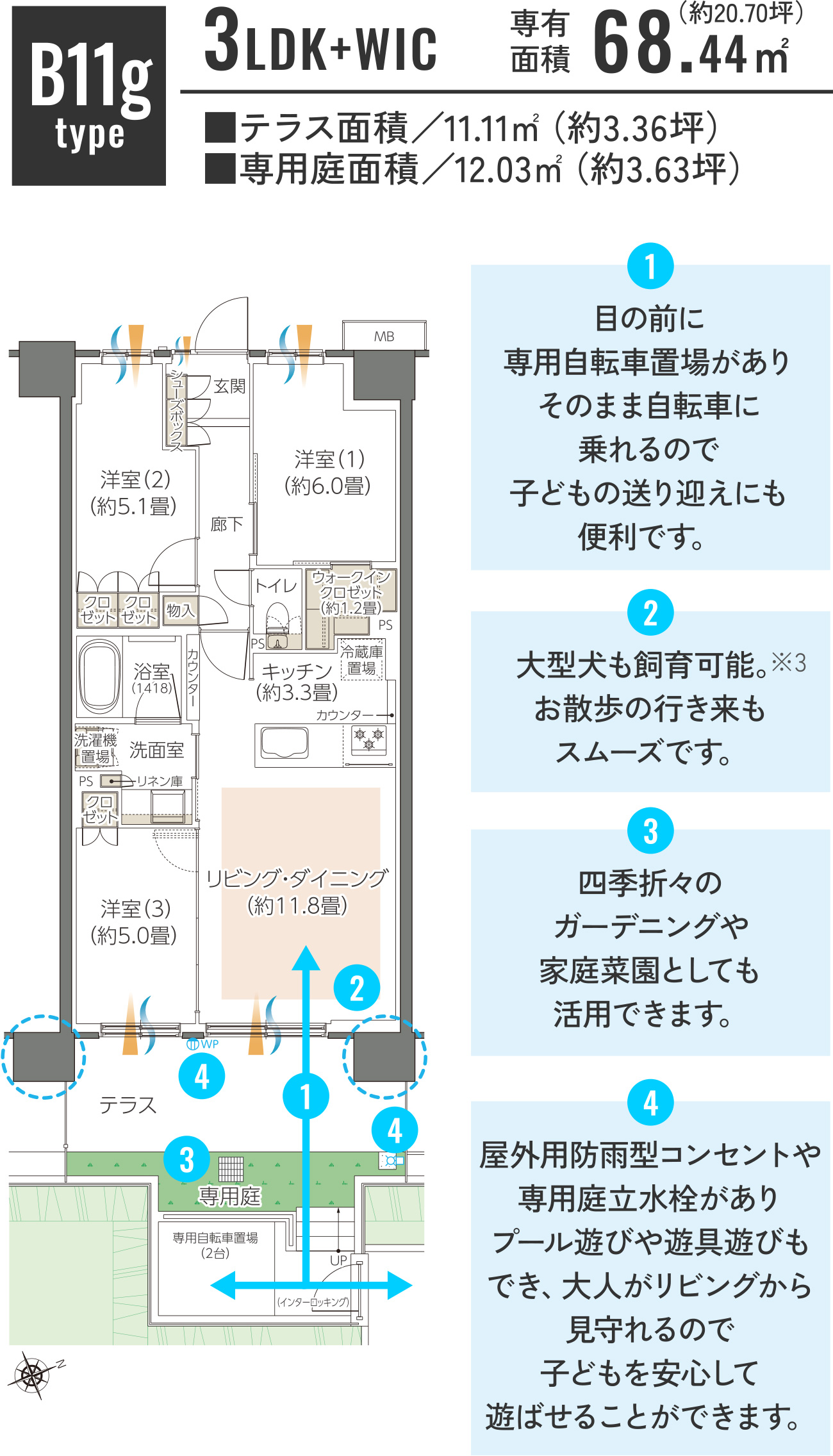 B11gtype②