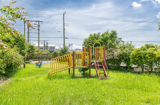 塩浜はなの木公園
