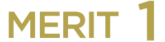 MERIT 1