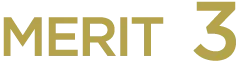 MERIT 3