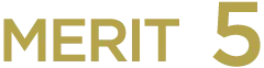 MERIT 5