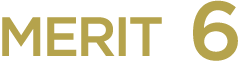 MERIT 6