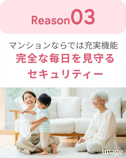 完全な毎日を見守るセキュリティー