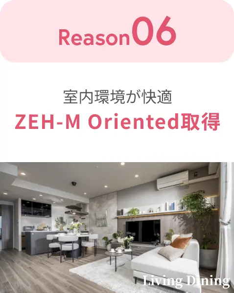 ZEH-M Oriented取得