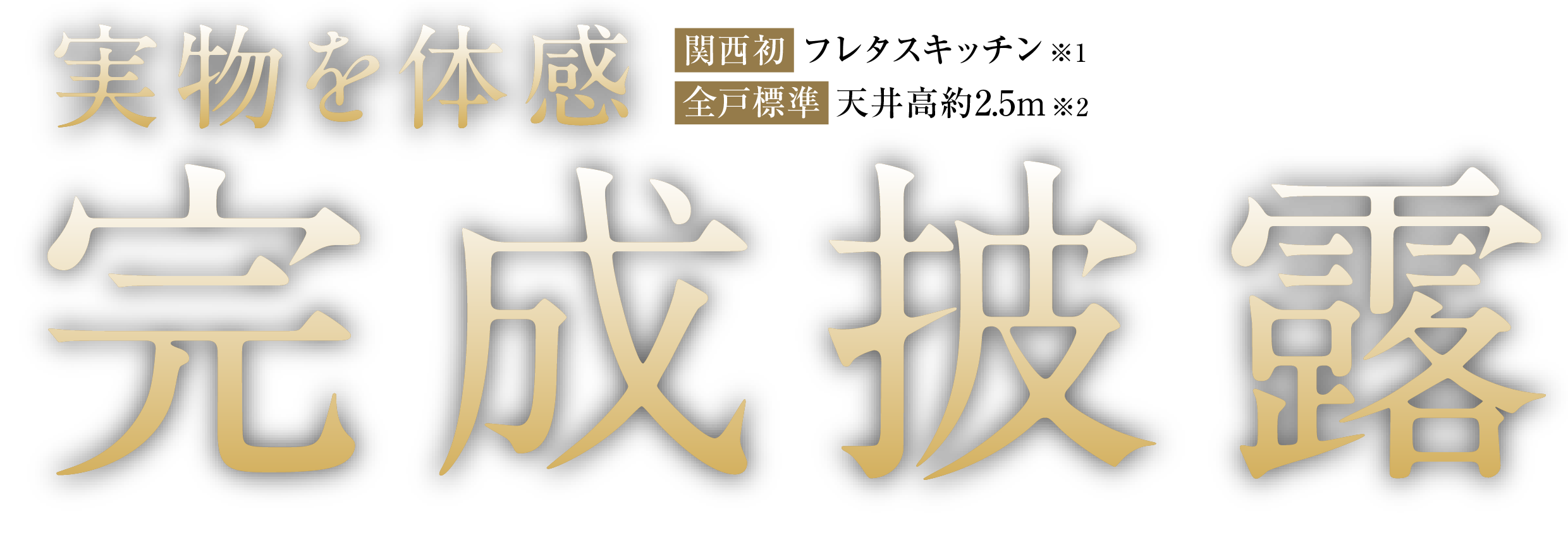 実物を体感 完成披露 【関西初】フレタスキッチン※1　【全戸標準】天井高約2.5m※2