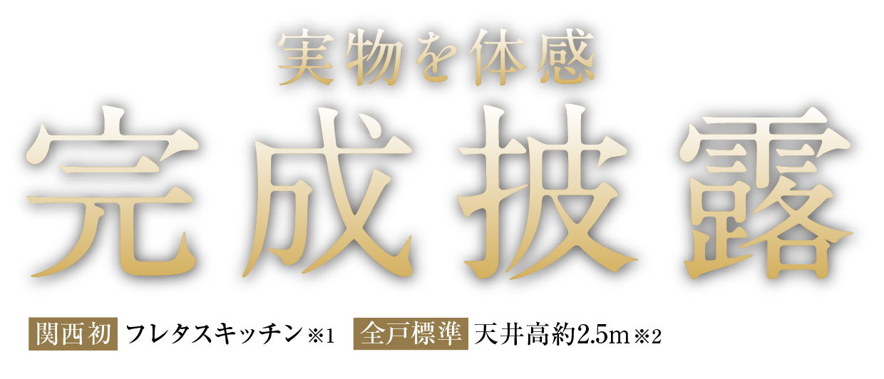 実物を体感 完成披露 【関西初】フレタスキッチン※1　【全戸標準】天井高約2.5m※2