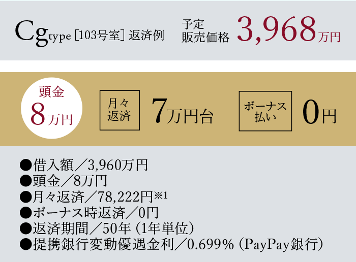 Cgtype 返済例