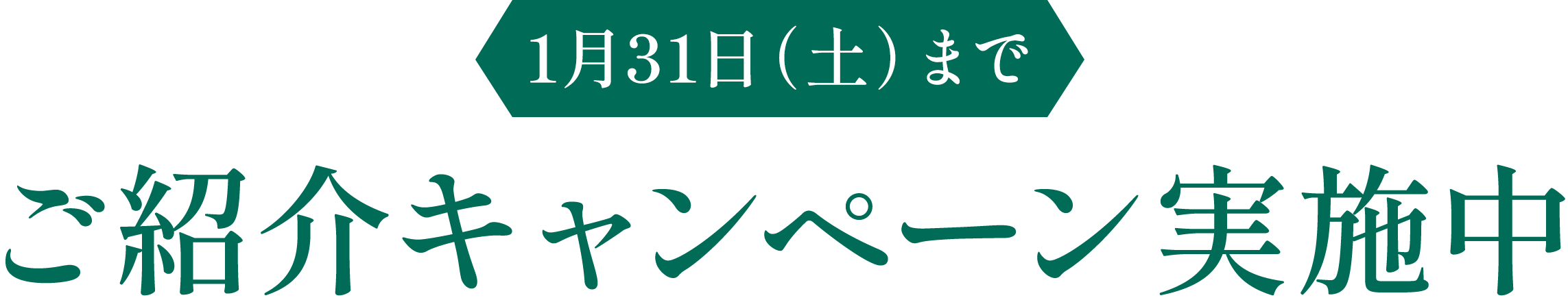 〈1月31日（土）まで〉ご紹介キャンペーン実施中
