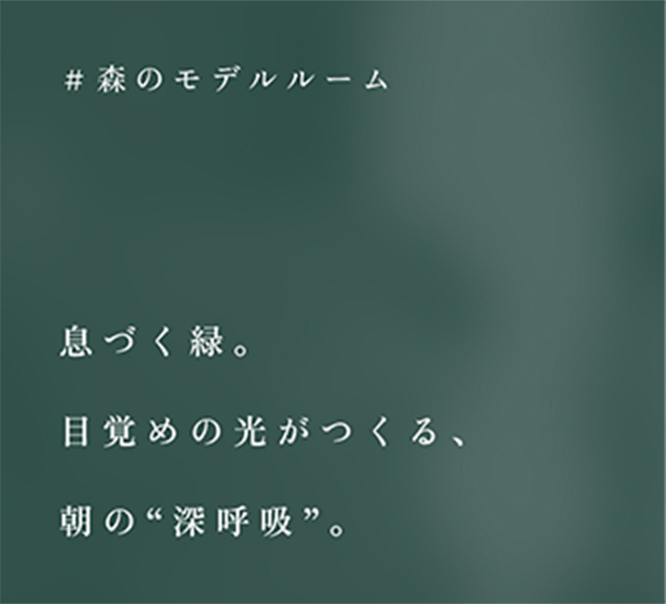 ＃森のモデルルーム／息づく森。目覚めの光がつくる、朝の”深呼吸”。