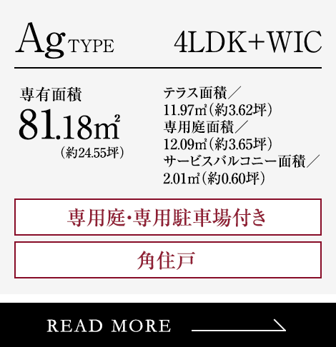 Ag type