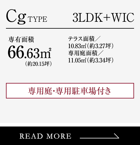 Cg type