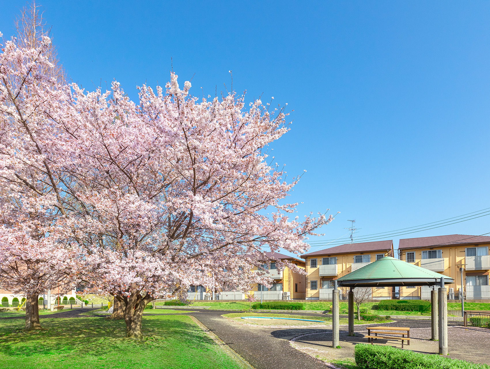 諏訪公園