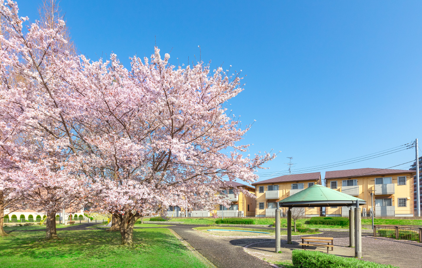 諏訪公園