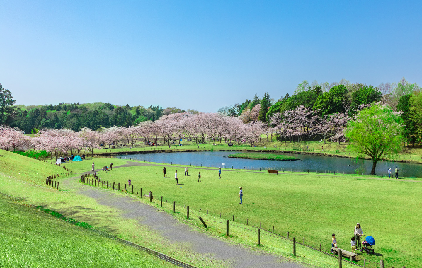 科学万博記念公園