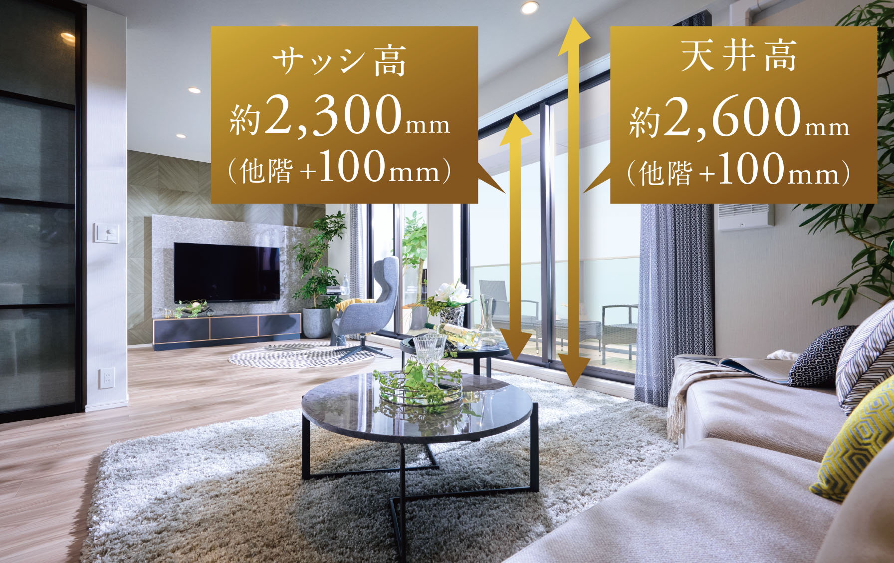 天井高約2,500mm（他階＋100mm）