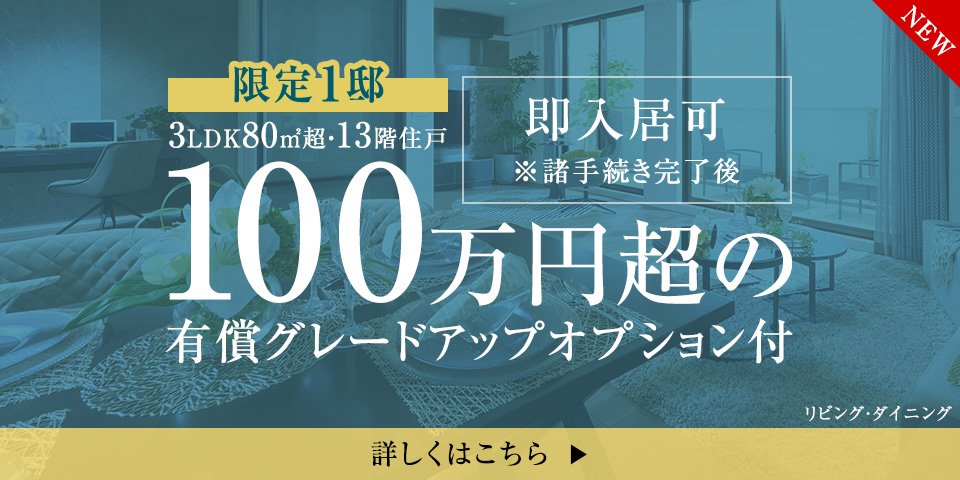 限定1邸100万円超の有償グレードアップオプション付