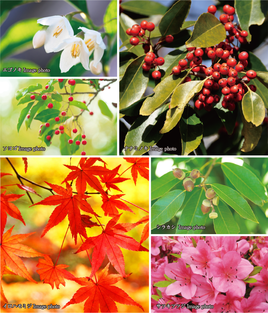 群馬県において人口NO.1