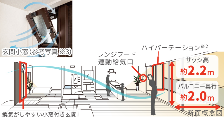 断面概念図